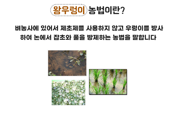 83dc32188cbcb9efefa546ddd738dad4_1588142861_2695.png